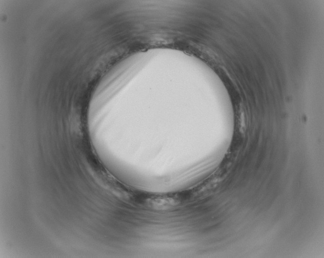 X0000077350512200611171901