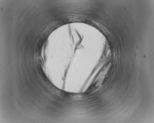 X0000077350513200611171901