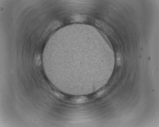 X0000077350514200611171901