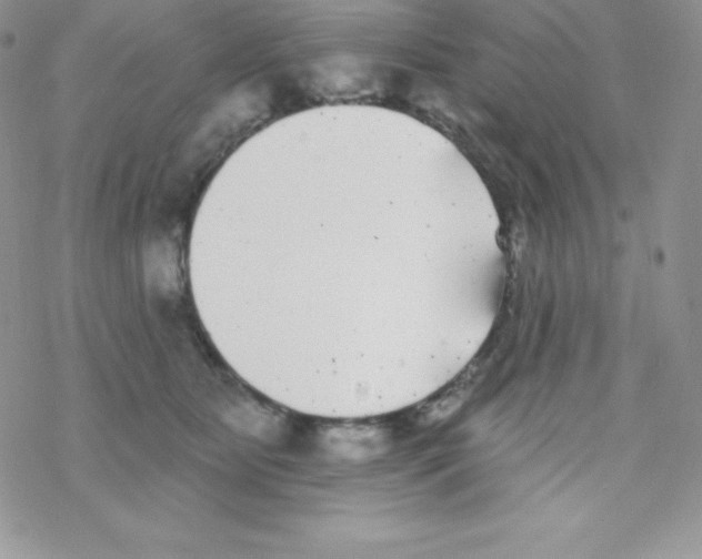 X0000077350515200611171901