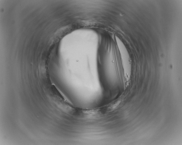 X0000077350516200611171901