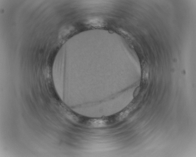 X0000077350518200611171901