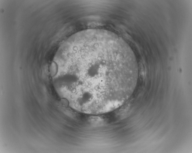 X0000077350519200611171901