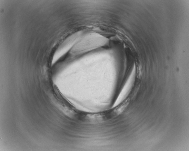 X0000077350520200611171901