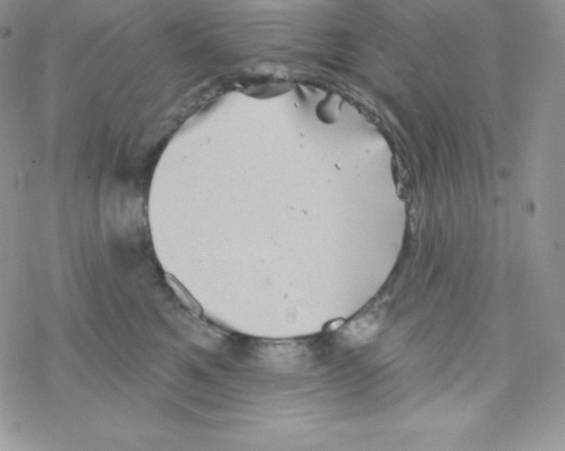 X0000077350521200611171901