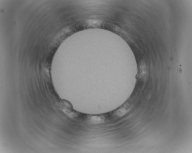 X0000077350522200611171901