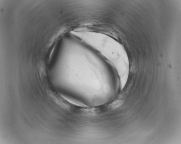 X0000077350524200611171901