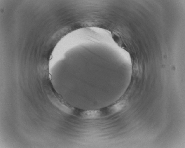 X0000077350526200611171901