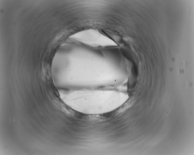 X0000077350528200611171901