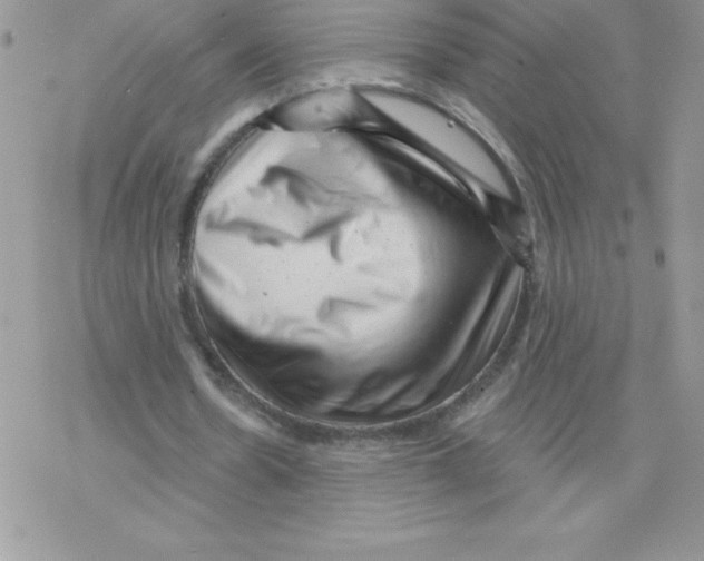 X0000077350530200611171900