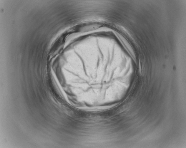 X0000077350531200611171900