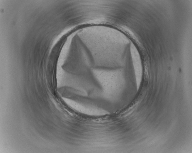 X0000077350532200611171900