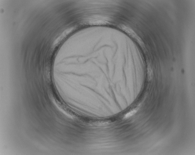 X0000077350533200611171900