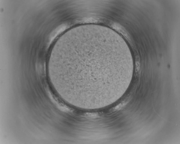 X0000077350534200611171900