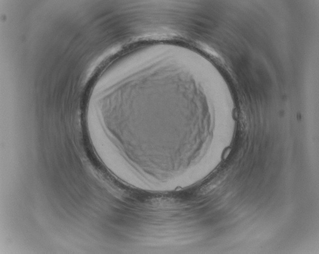 X0000077350535200611171900