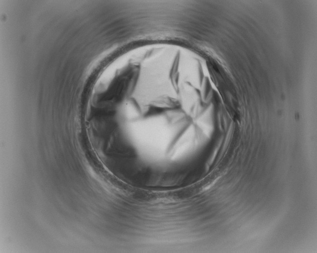 X0000077350536200611171900