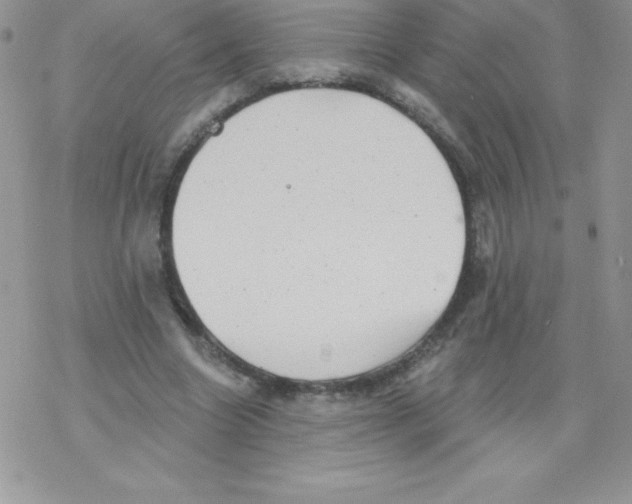 X0000077350538200611171900