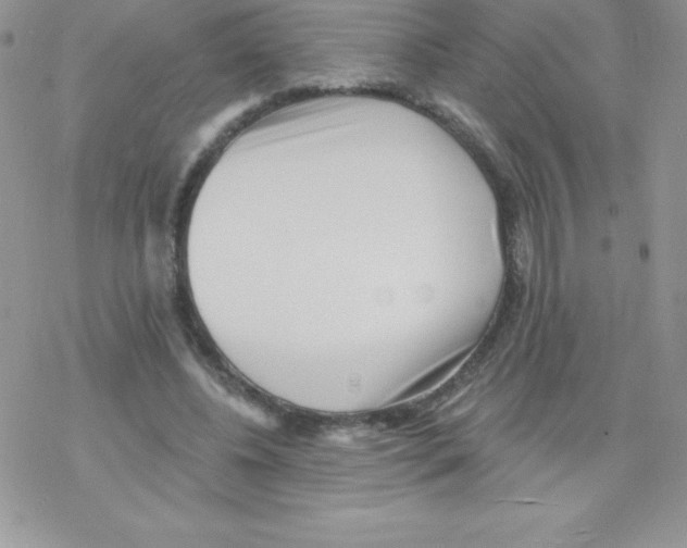 X0000077350540200611171900