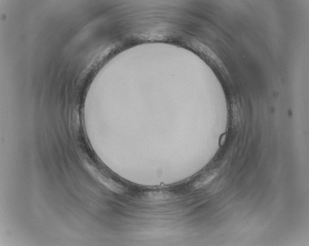 X0000077350541200611171900