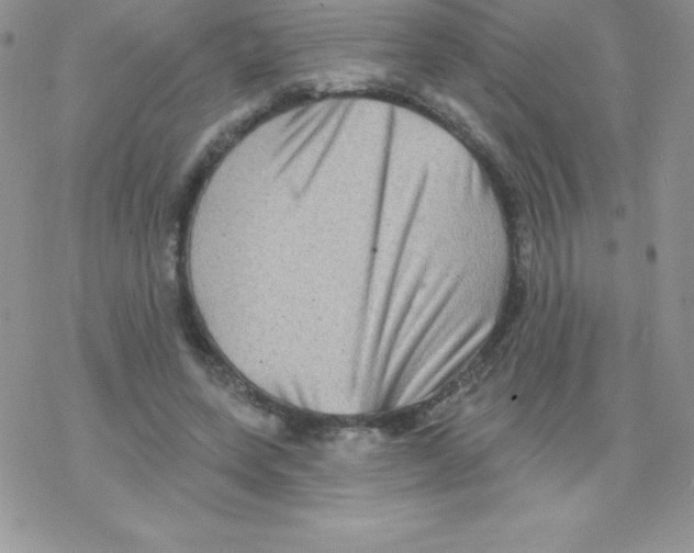 X0000077350543200611171900