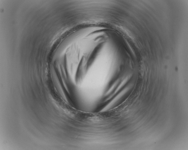 X0000077350544200611171900