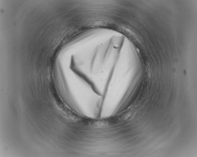 X0000077350546200611171901