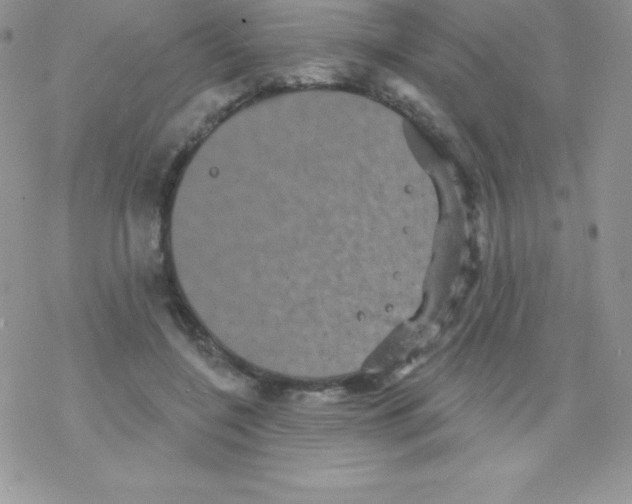 X0000077350548200611171901