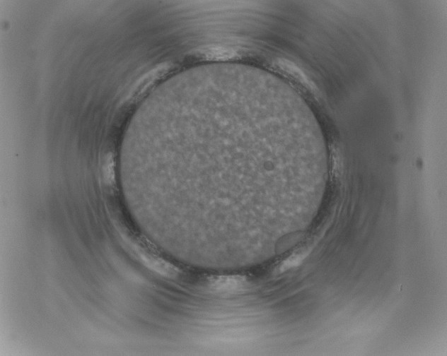 X0000077350549200611171901