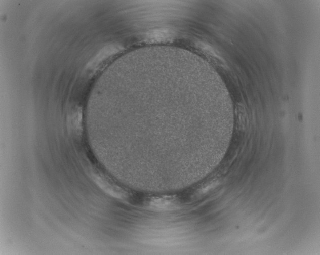 X0000077350550200611171901