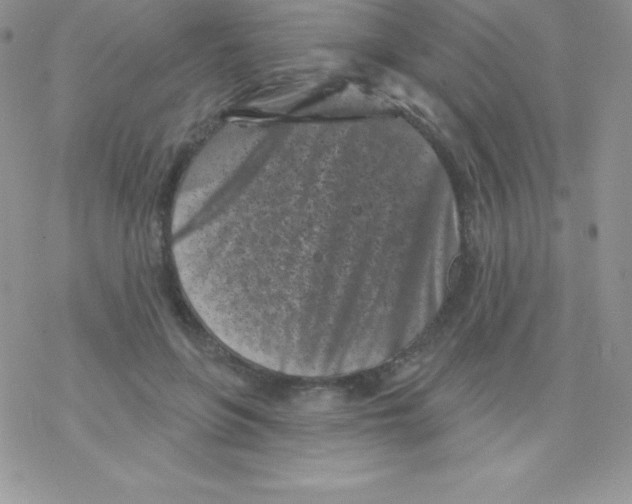 X0000077350551200611171901