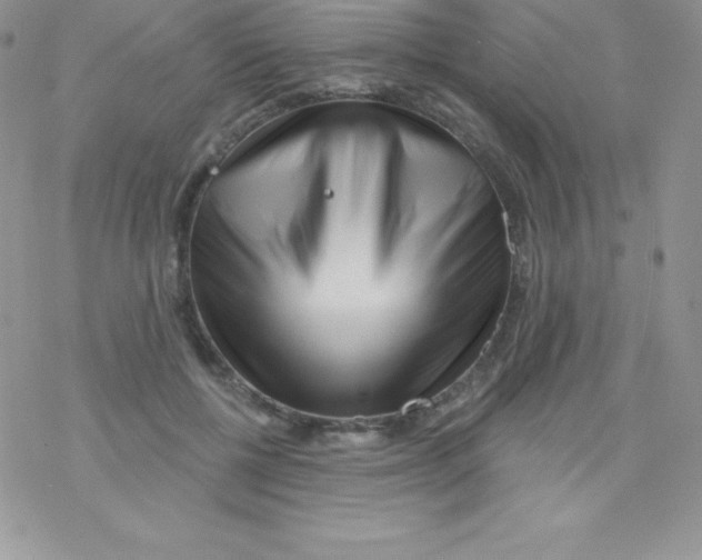 X0000077350552200611171901