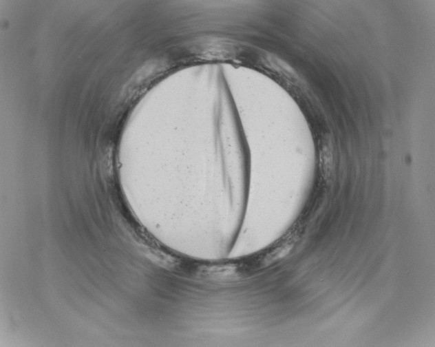 X0000077350554200611171901