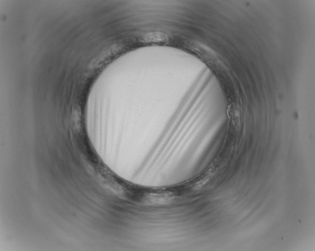 X0000077350556200611171901