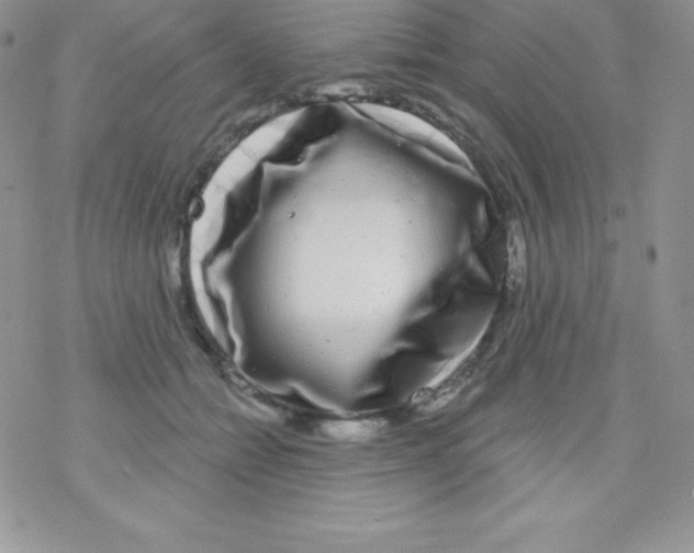 X0000077350558200611171901