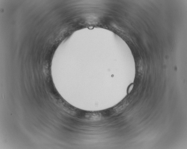 X0000077350559200611171901