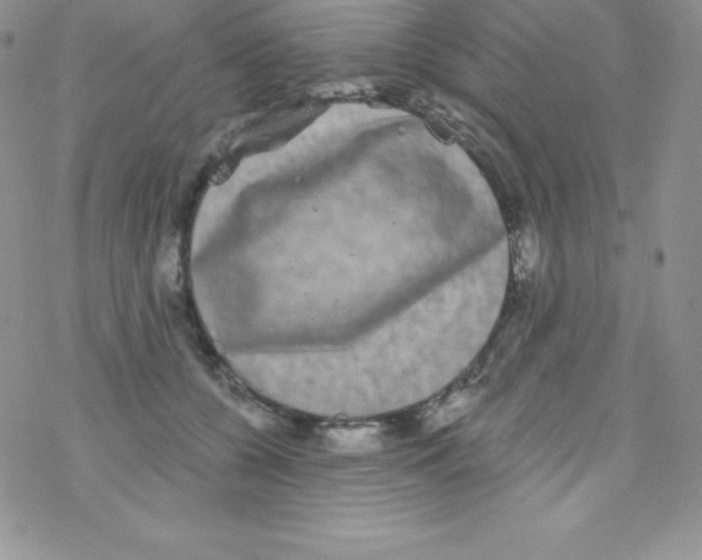 X0000077350560200611171901