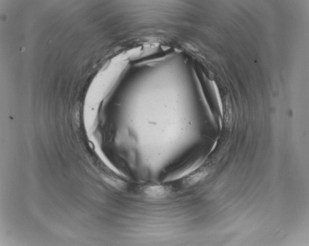 X0000077350562200611171901