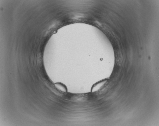 X0000077350563200611171901