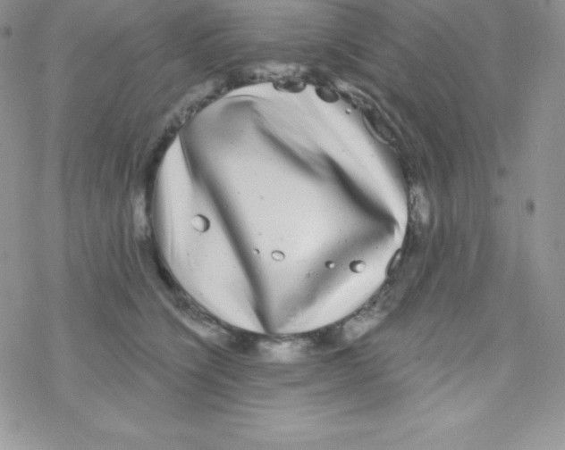 X0000077350564200611171901