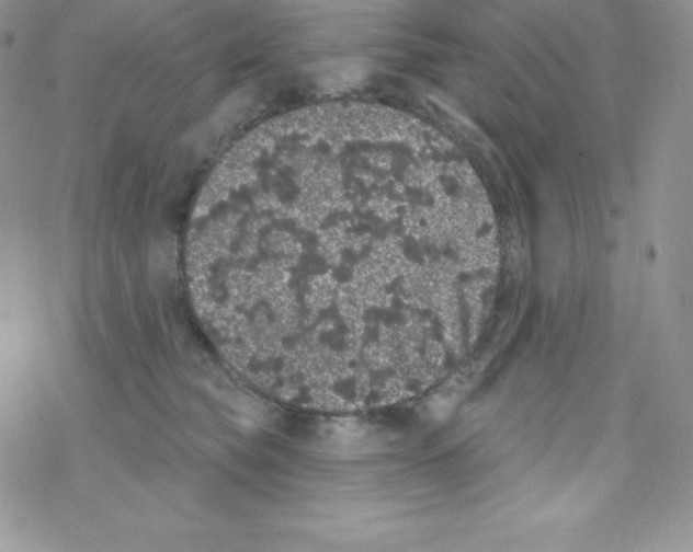 X0000077350565200611171901