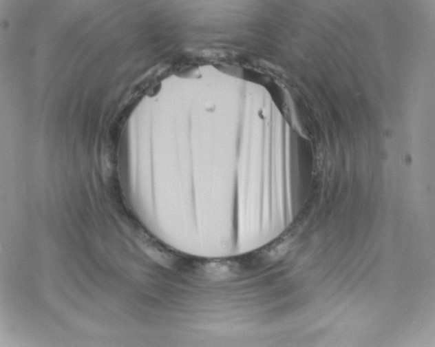 X0000077350566200611171901