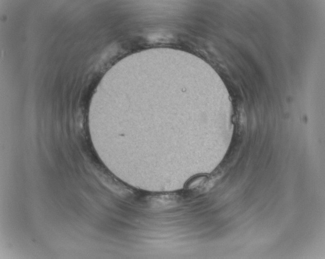 X0000077350567200611171901