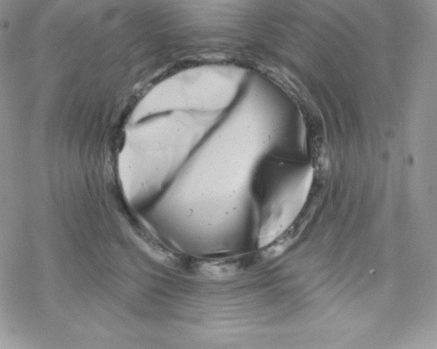 X0000077350568200611171901