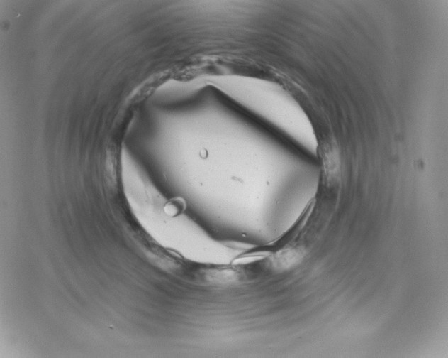 X0000077350572200611171901