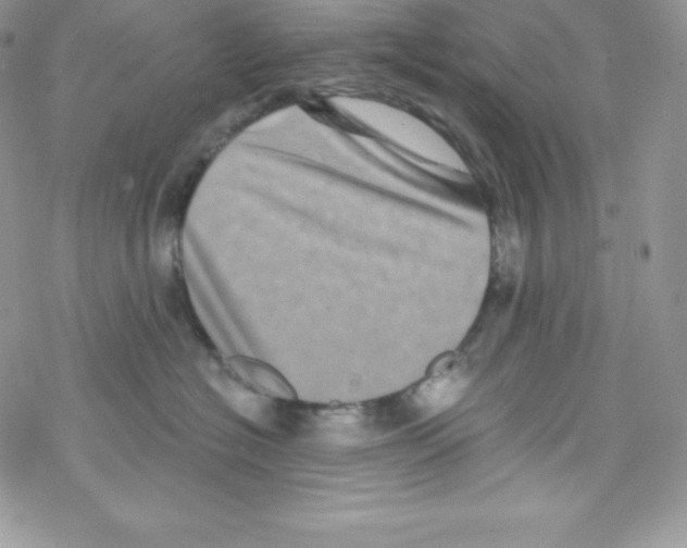 X0000077350574200611171901