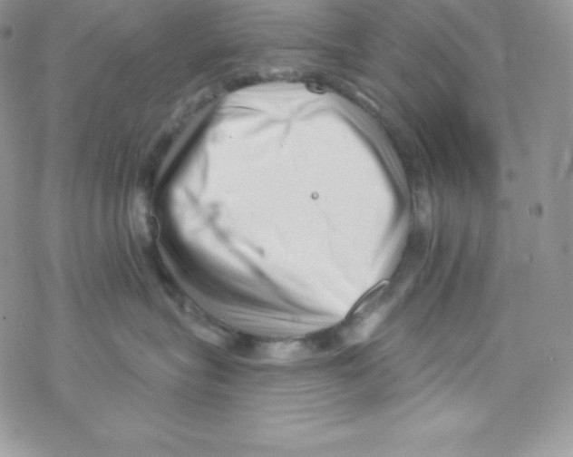 X0000077350575200611171901