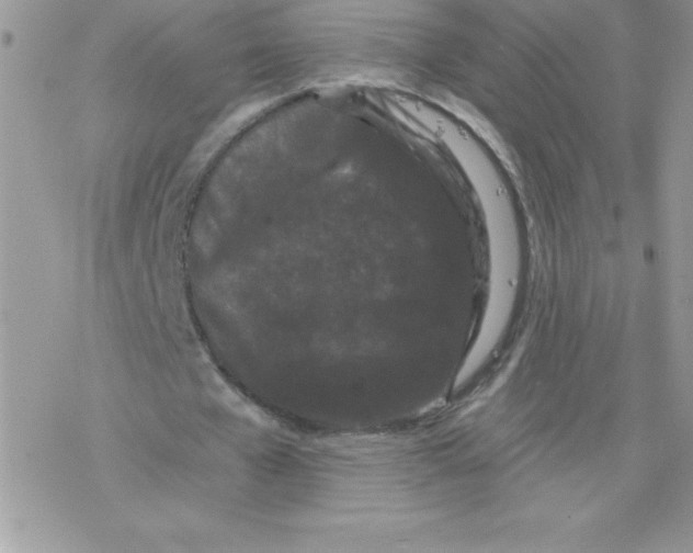 X0000077350577200611171900