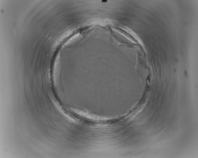 X0000077350581200611171900