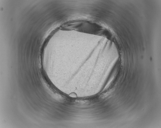 X0000077350582200611171900