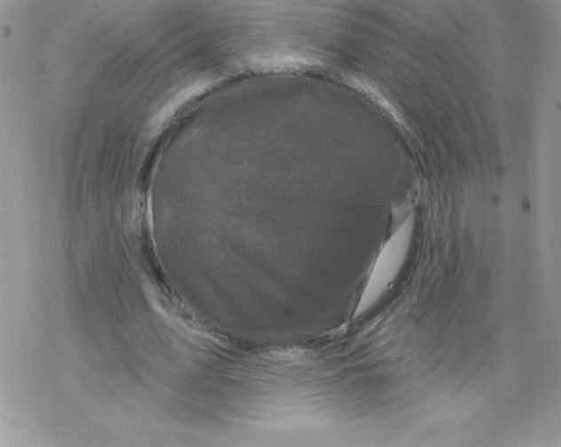 X0000077350583200611171900